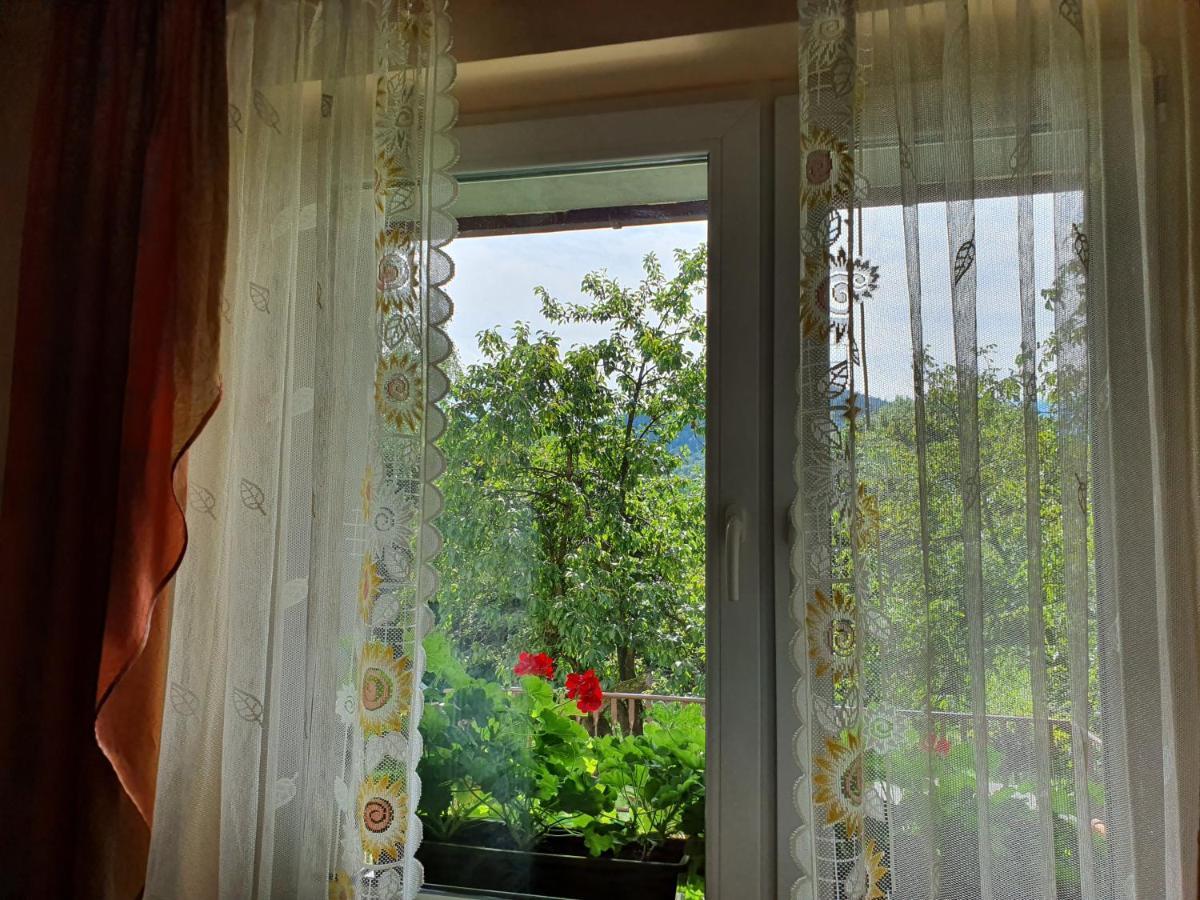 Apartamenty Straconka ,Bielsko-Biała Buitenkant foto